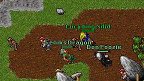 Feniks Dragon on screen