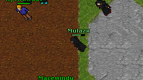 Mulazx on screen