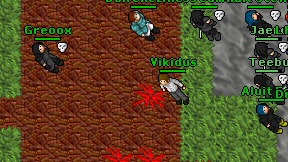 Vikidus on screen