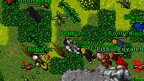 Velirian on screen