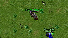 Elver Milver on screen
