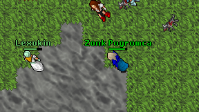 Zonk Pogromca on screen