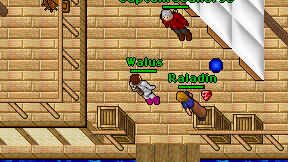 Walus on screen