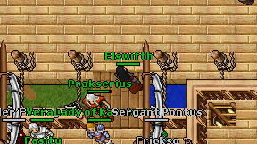 Elswifth on screen