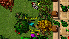 Natrysk on screen