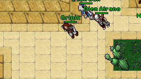 Gripix on screen
