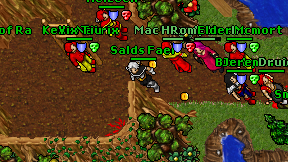Salds Faer on screen