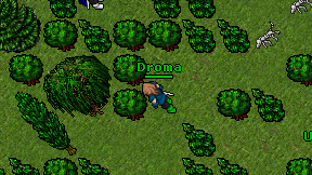 Droma on screen