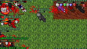 Diior on screen