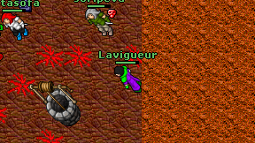Lavigueur on screen