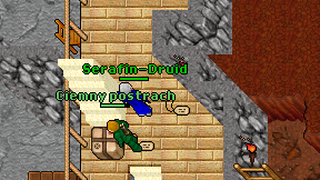 Serafin-Druid on screen
