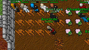 Anelede on screen
