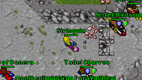 Siringuis on screen