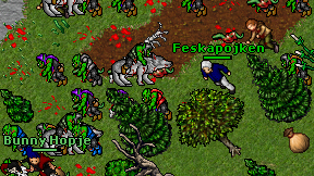 Feskapojken on screen