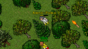 Amro-Puma on screen