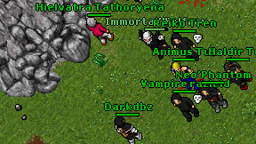 Darkdbz on screen