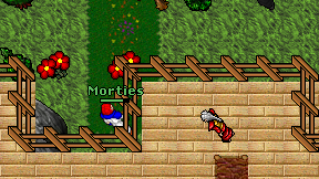 Morties on screen