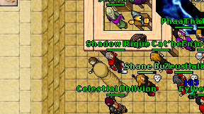 Shadow Ninja on screen