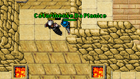 Catarinense Da Planice on screen