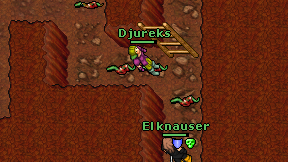 Djureks on screen