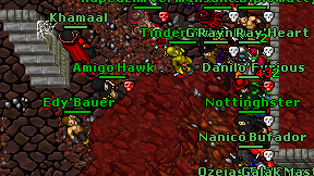 Amigo Hawk on screen