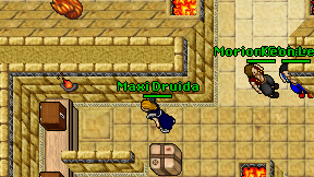 Maxi Druida on screen