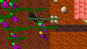 Sliver Skydiver on screen