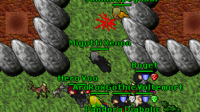 Migotti Xenon on screen