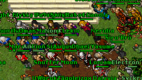 Lekio on screen