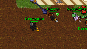Grovsopa on screen