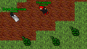 Nexugo on screen