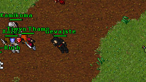 Gevajste on screen