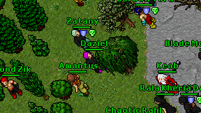 Daziel on screen