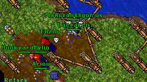 Laeraren on screen