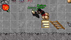 Anne Alve on screen