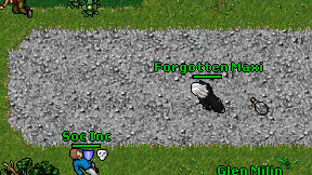 Forgotten Maxi on screen