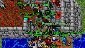 Dingo Druid on screen