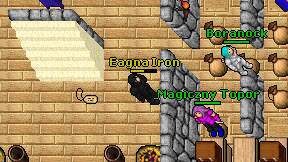 Eagna Iron on screen