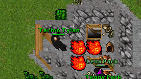 Tarion Tylan on screen