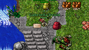Gabriella'Druid on screen