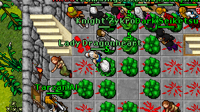 Lady Dragonheart on screen