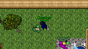 Konfer on screen