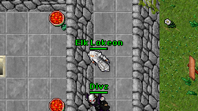 Elk Lokeon on screen