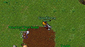 Gunfirex on screen