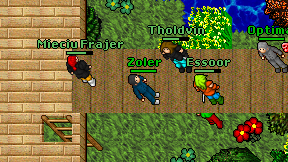 Zoler on screen