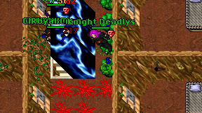 Knight Deadlys on screen