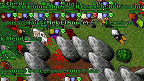 Kuaja on screen