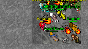 Paladix on screen