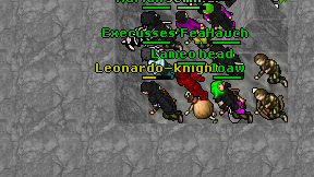 Leonardo-knight on screen