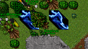 Rogissi on screen